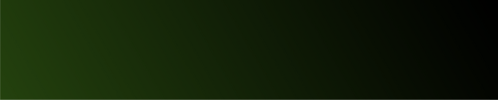 Asset 13.png