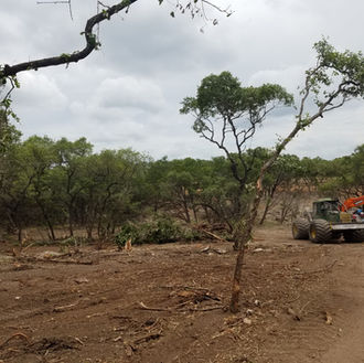landscaping materials Blanco Road Mulch and landscape materials, texas
