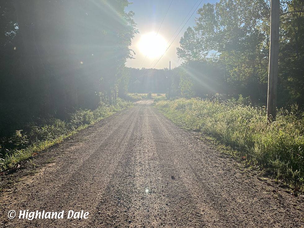 Rural setting for film locations in Ozark Missouri.