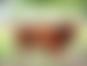 J Bar T Magnum Force