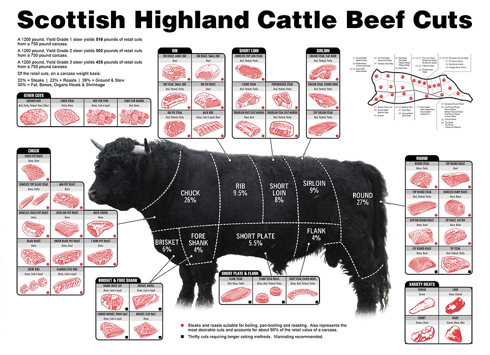 Highland Beef Cuts.jpeg