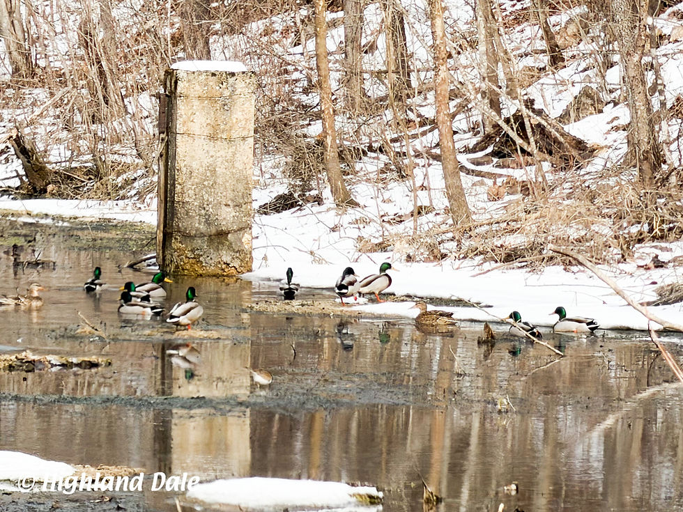 The Wheel That Turned a Valley: The Water Wheel of Byler’s (Boyler's) Mill