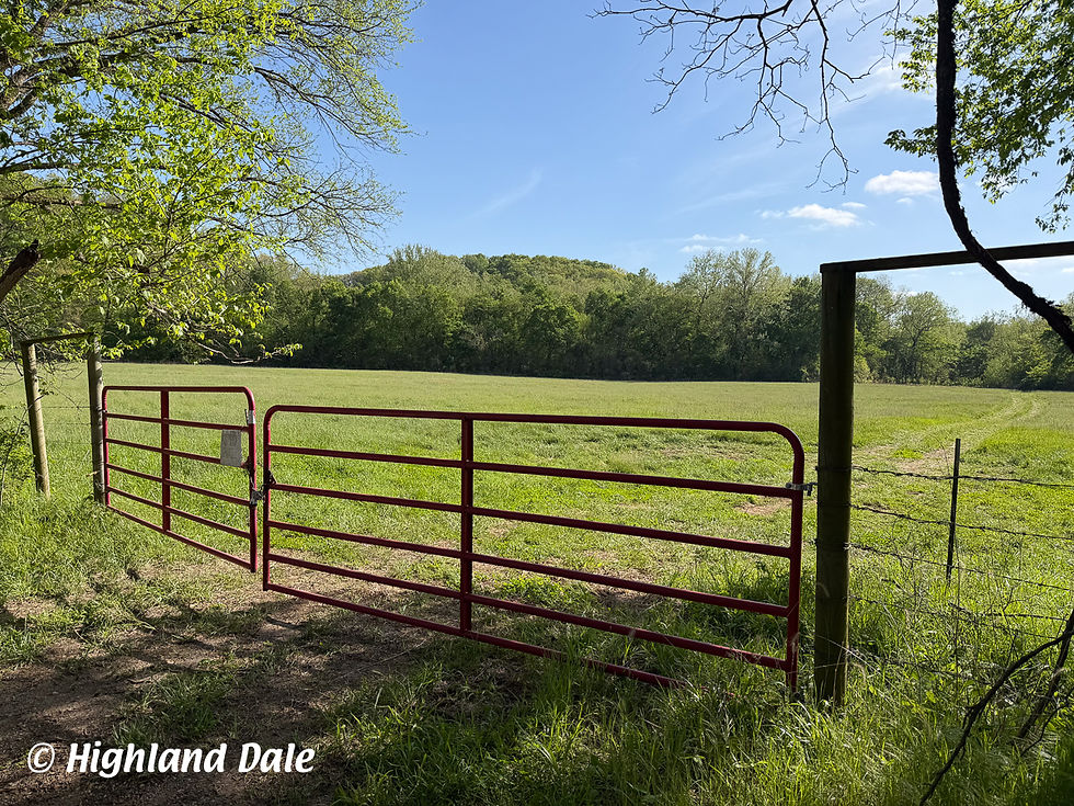 Double gates into Buttercup Field