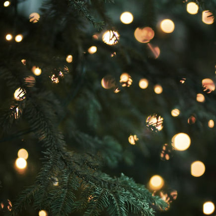 Een kerstverhaal over een vrouw met een baard