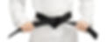 black-belt.jpg