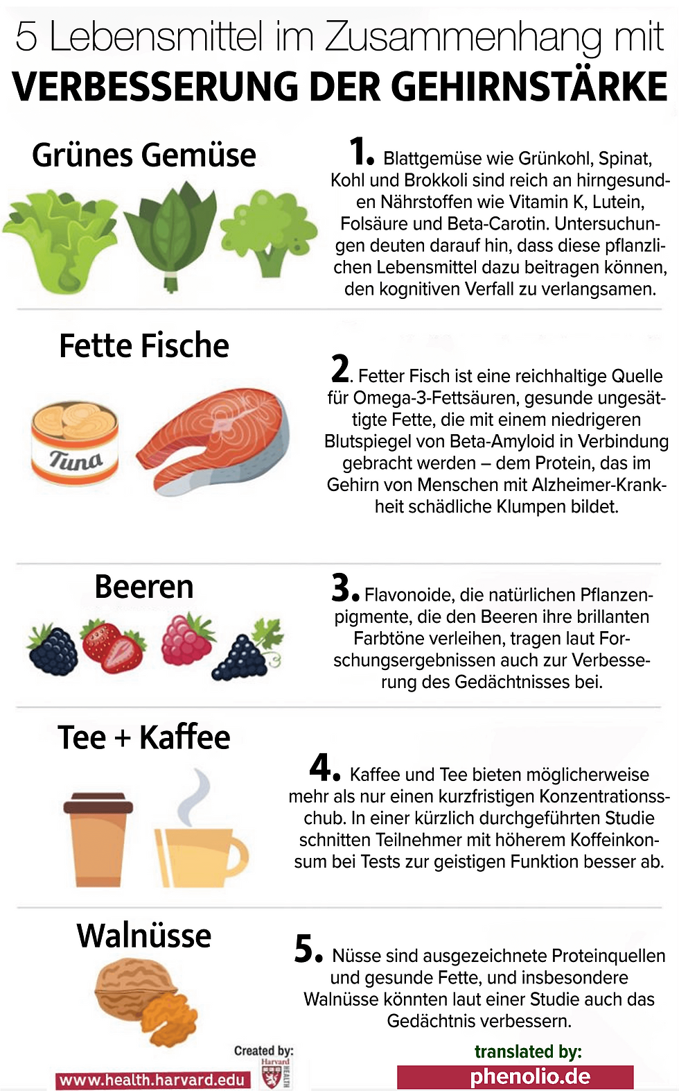 5 Lebensmittel, die die Gehirnfunktion verbessern