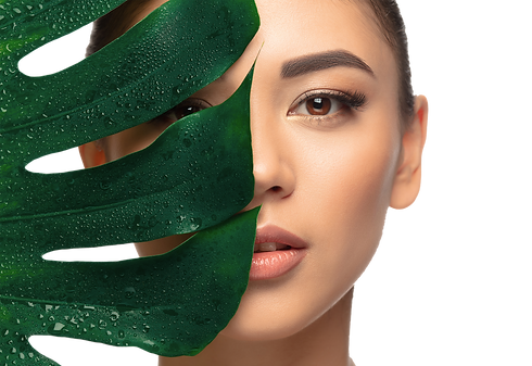girl-with-monstera-2500.png