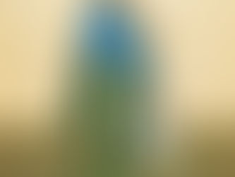 SANTO PROFETA JONÁS