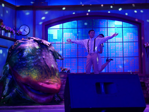 Faculty Follies: A Night Never To Be Forgotten
