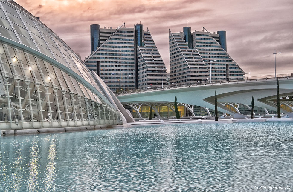 Ciudad de las Artes y las Ciencias - Foto enviada por Carlos Calvillo Aparicio.j