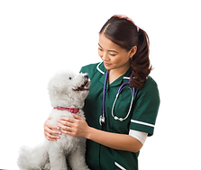 Auxiliar de Veterinária trabalhando feliz com um cachorro. 