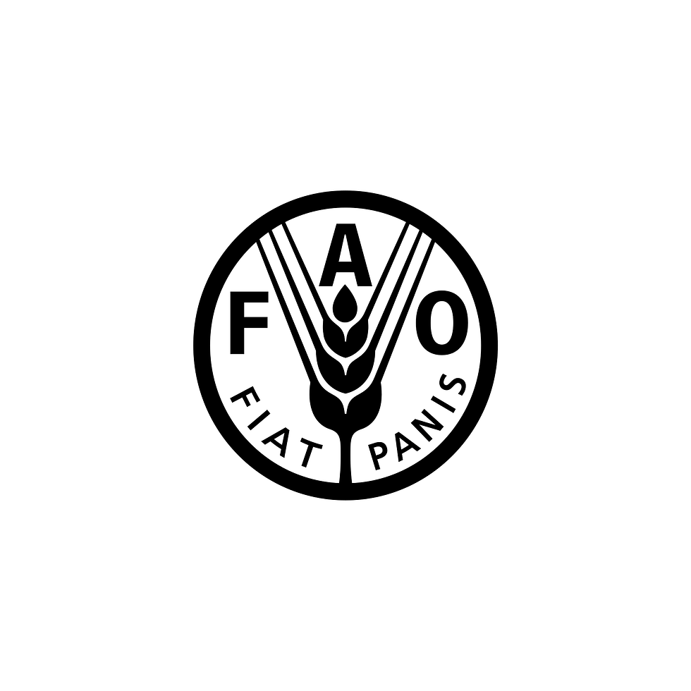FAO-black-white-square-2048.png