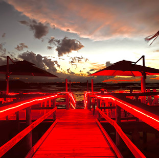 Night Dock Bar