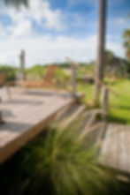 Grasses behind Slot 5 - August 2012.JPG