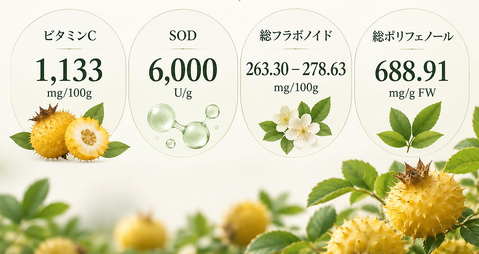 299363d2-02ee-4c5f-bf8b-94ad407e30cd.png