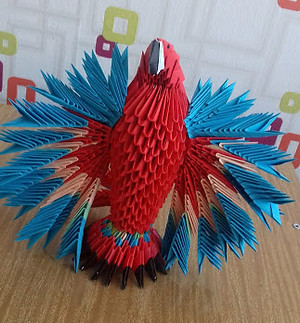 20200915_094417.jpg