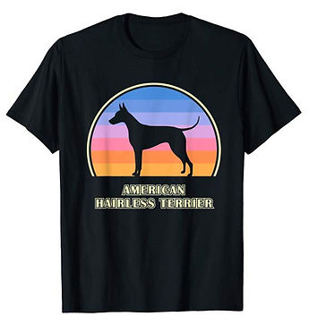 Vintage-Sunset-tshirt-American-Hairless-