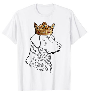 Chesapeake-Bay-Retriever-Crown-Portrait-