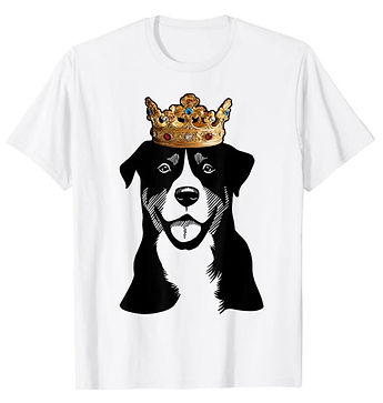 Greater-Swiss-Mountain-Dog-Crown-Portrai