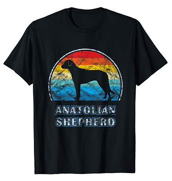 Vintage-Design-tshirt-Anatolian-Shepherd