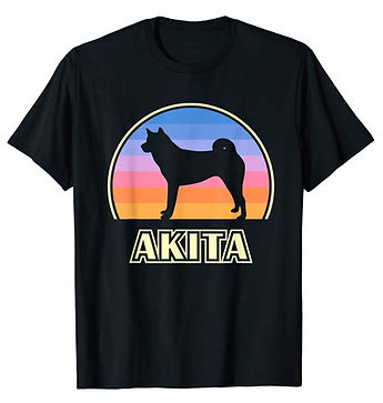 Vintage-Sunset-tshirt-Akita.jpg