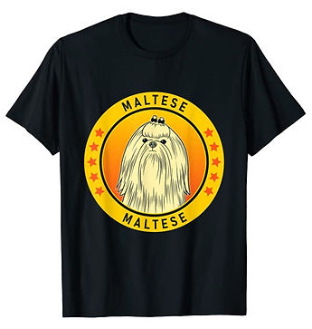 Maltese-Portrait-Yellow-tshirt.jpg