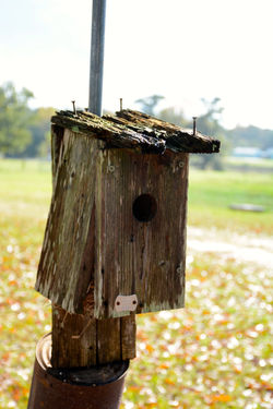 Bird's Nest