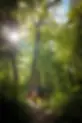 L1020449.webp