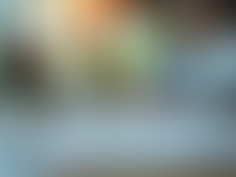 Exploring Archimedes Ledger LLC's Personalized Bookkeeping Services