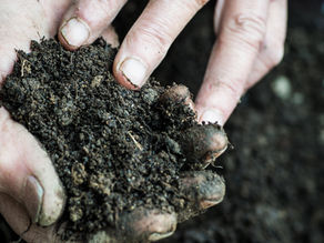 Soil Preparation: How Do You Prepare Garden Soil for Planting?