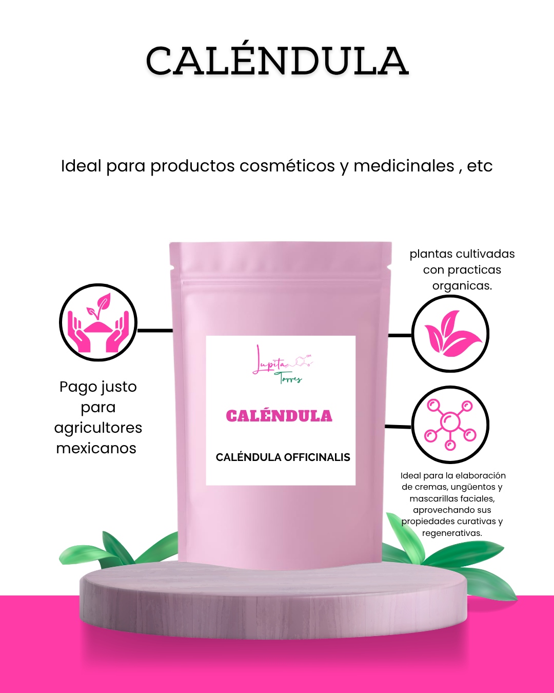 Flores de caléndula seca premium