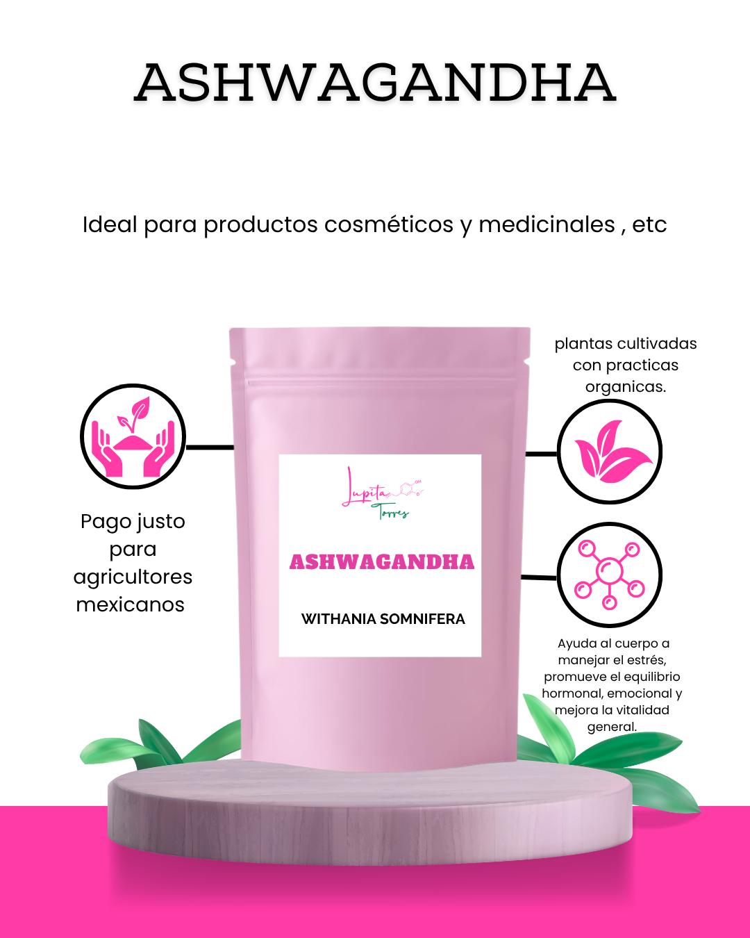 Ashwagandha raíz seca en polvo