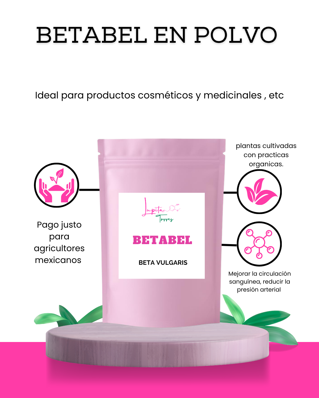 Betabel en polvo