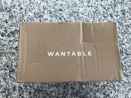 Wantable Box Review