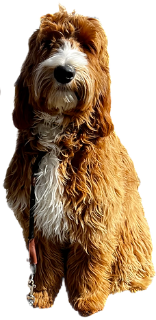 Penny glam_edited.png