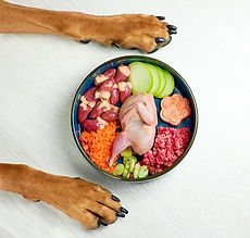 foto nutrição animal_edited.jpg