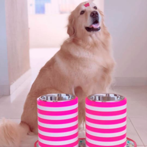ree