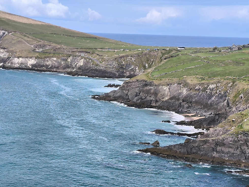 WhatsApp Image 2025-04-17 at 12.28.54.jpeg