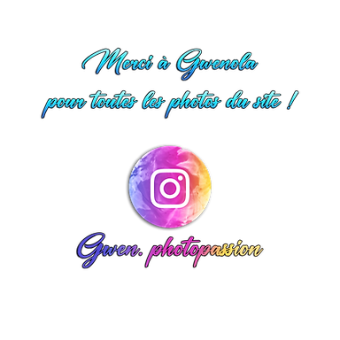Logo Insta
