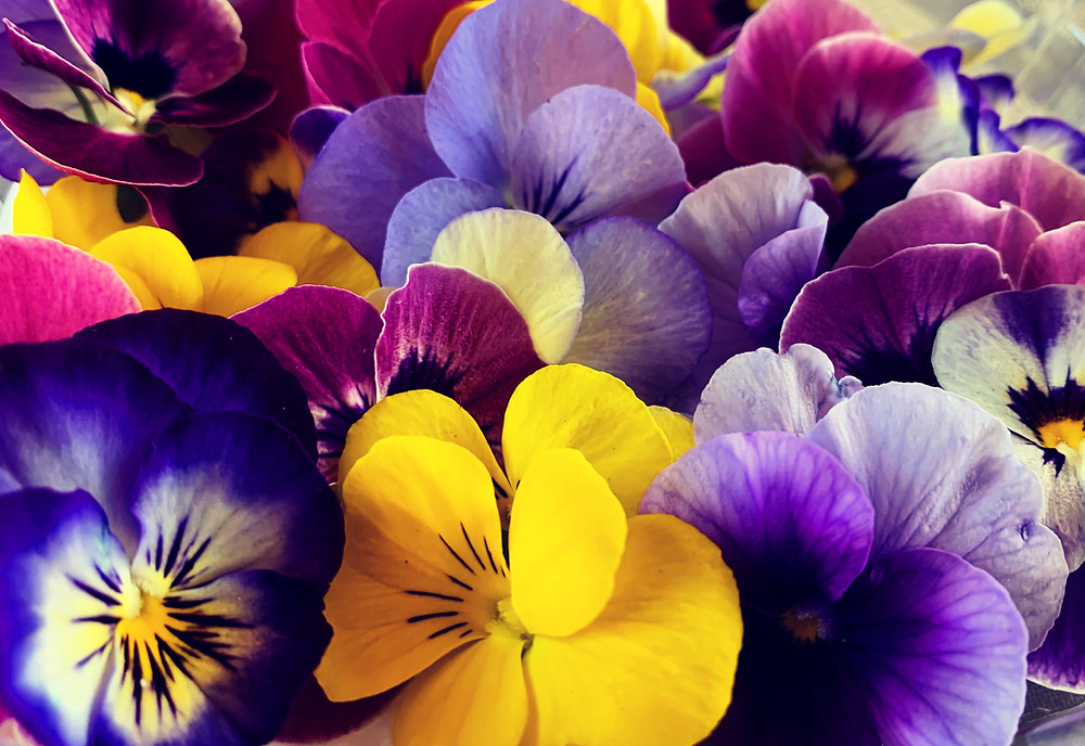 Ätbara blommor