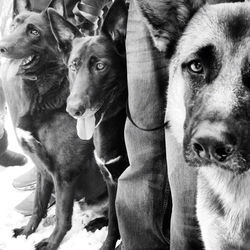 1456798_10201257534897287_863362092_n