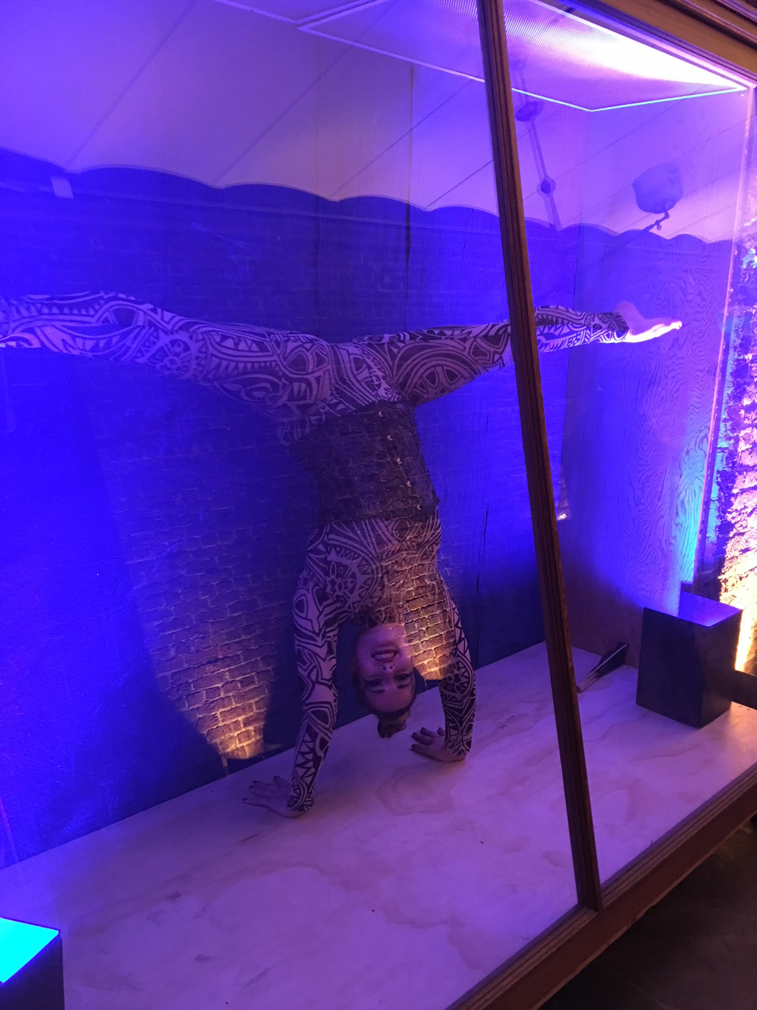 Contortion Box SF