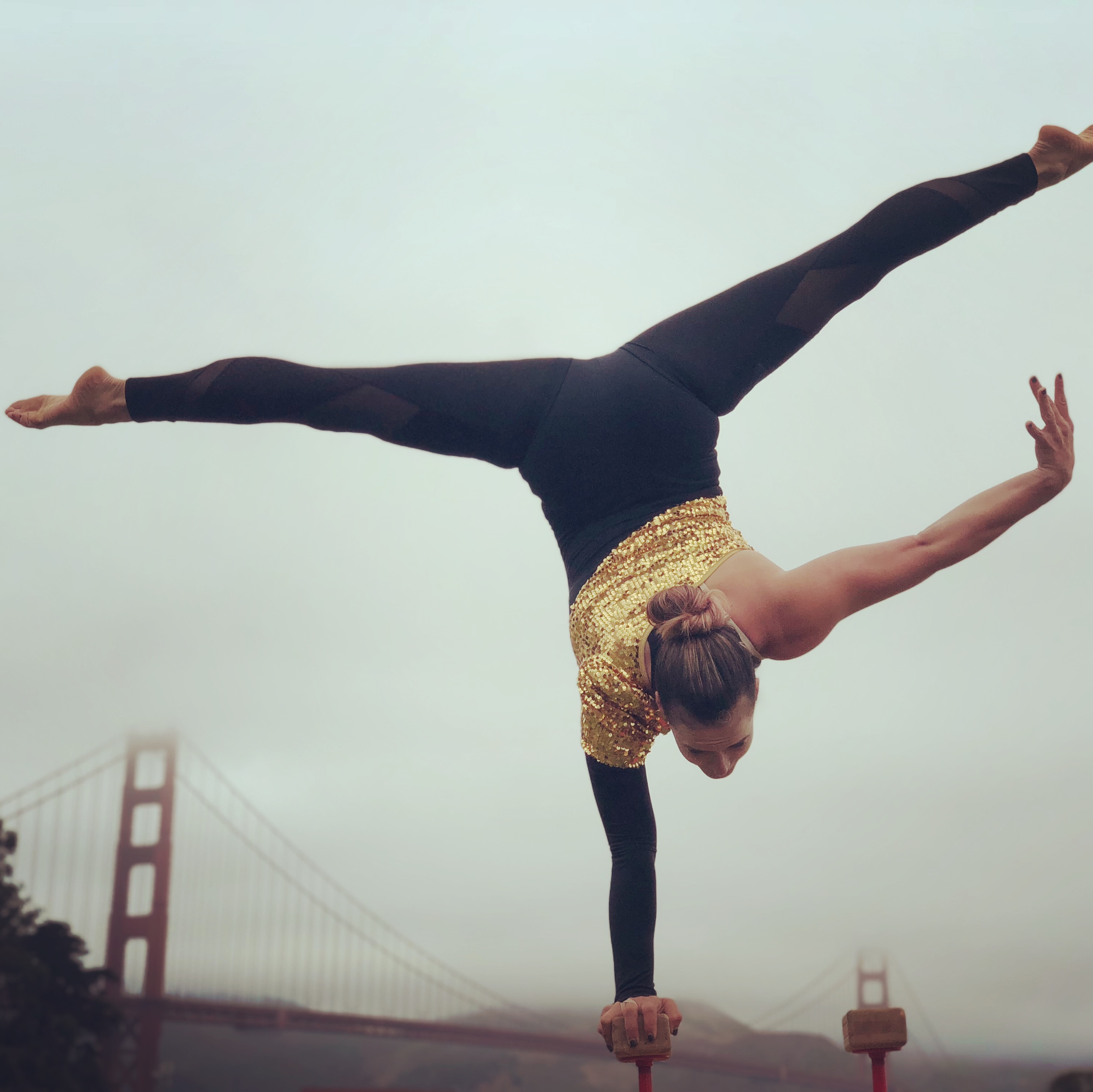 One Arm Handstand