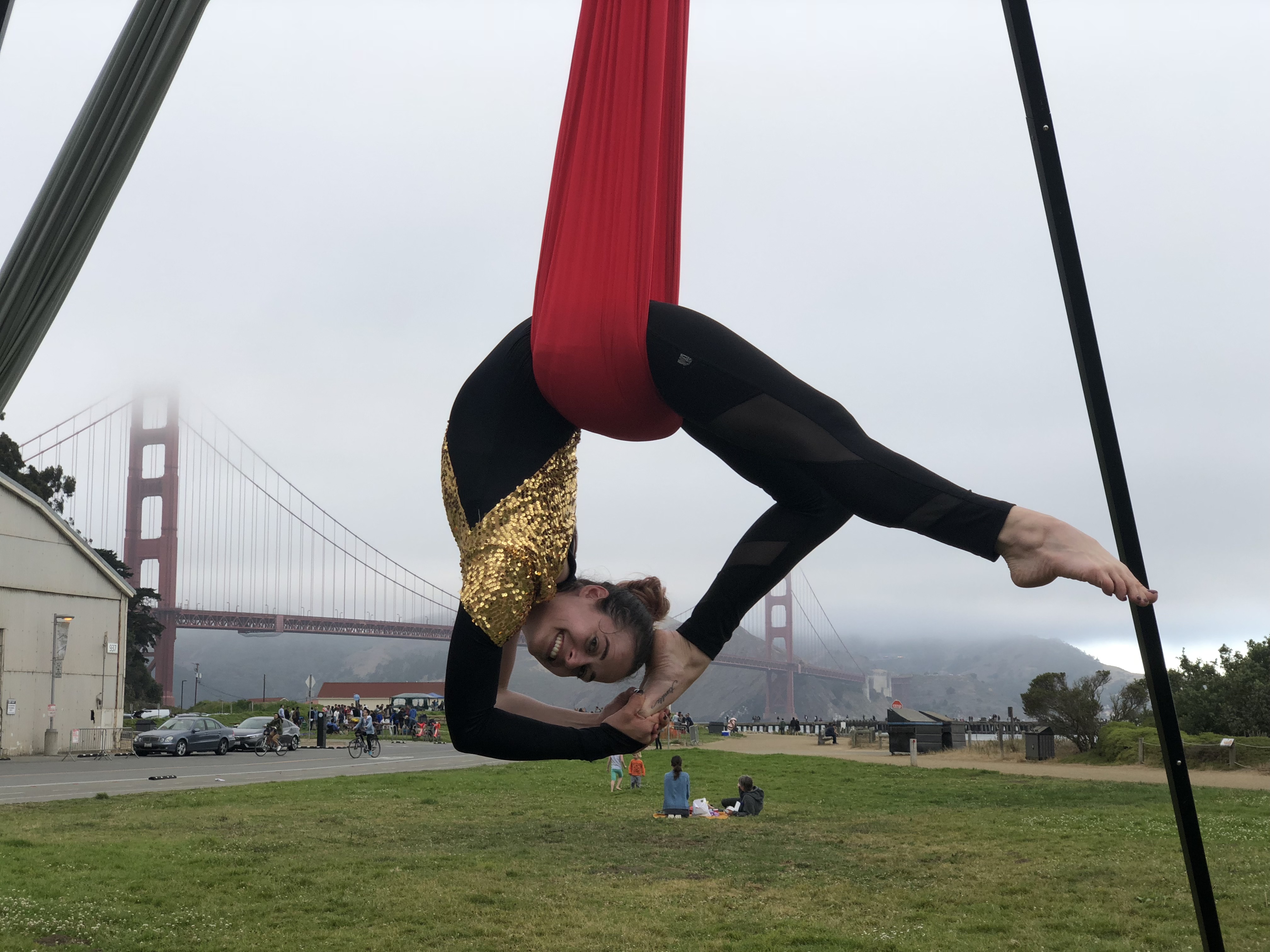 Aerial Silks