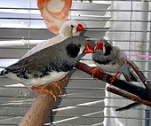 IMG_2906.jpg