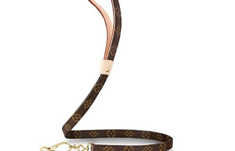 Louis Vuitton | Dog Friendly Fashion