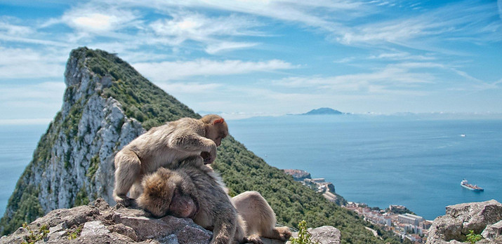 Gibraltar 3.jpg