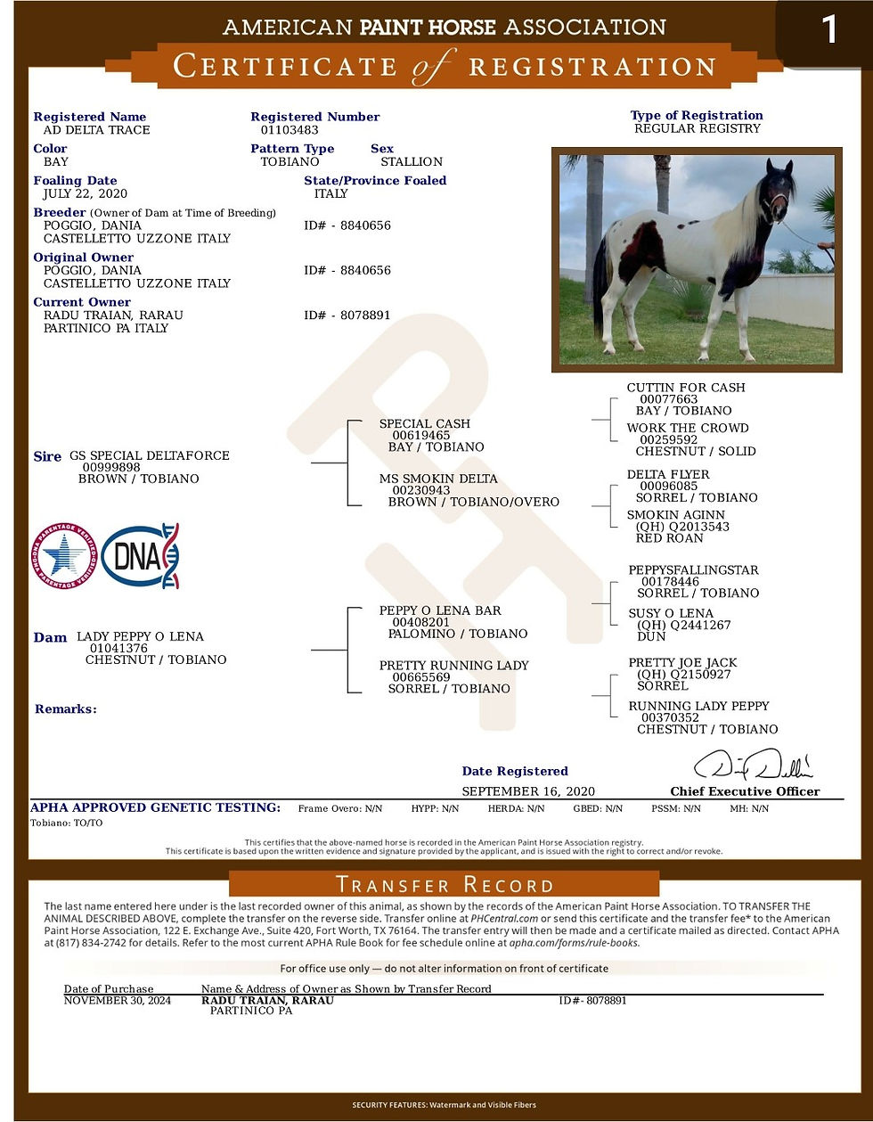 Miniatura: DELTA TRACE