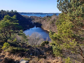 20210304_140900.jpg