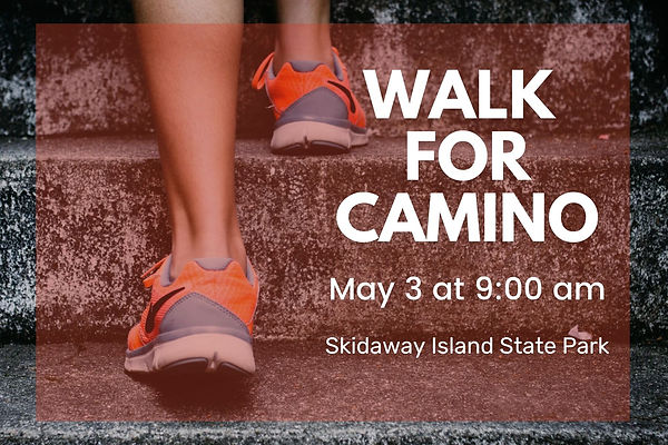 CAMINO Walk Website.jpg